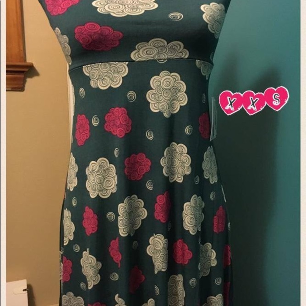 LuLaRoe XXS Maxi Skirt